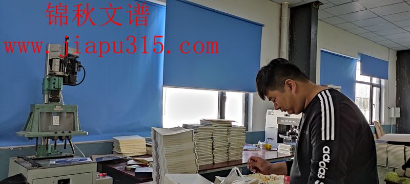 楊氏族譜折頁中 楊氏族譜折頁中