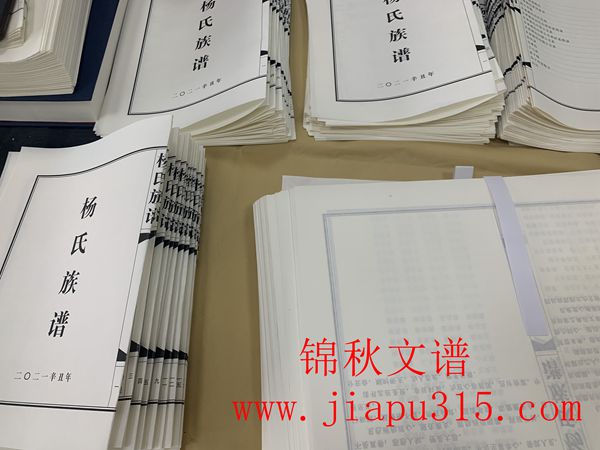 楊氏族譜折頁中 楊氏族譜折頁中