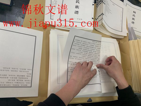 楊氏族譜折頁中 楊氏族譜折頁中