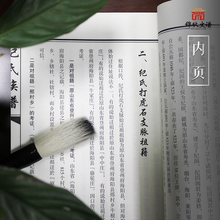 紀(jì)氏族譜內(nèi)頁(yè)展示二