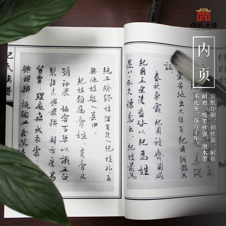 紀(jì)氏族譜內(nèi)頁(yè)展示一