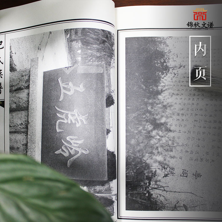 紀(jì)氏族譜內(nèi)頁(yè)展示三