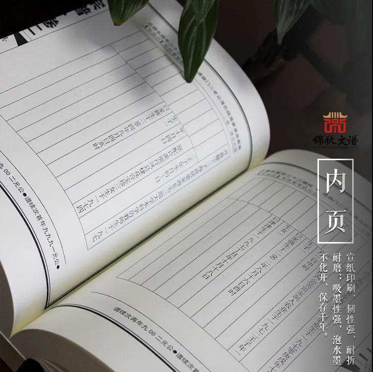 段氏家譜內(nèi)頁圖展示