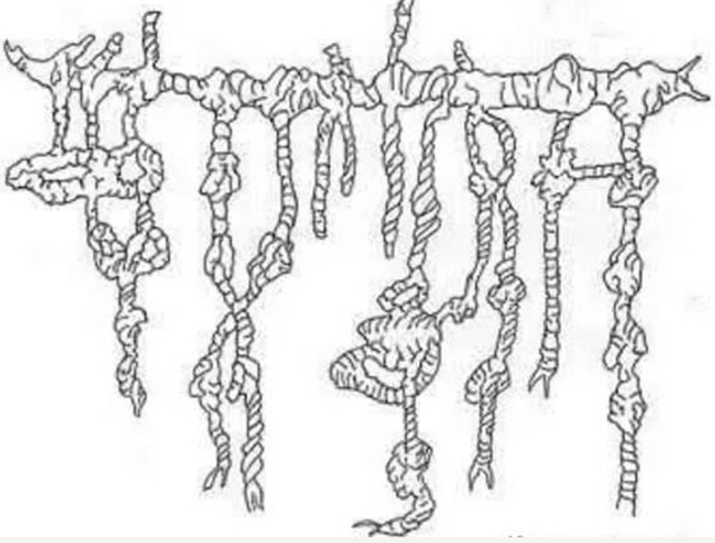 繩結(jié)家譜 繩結(jié)家譜