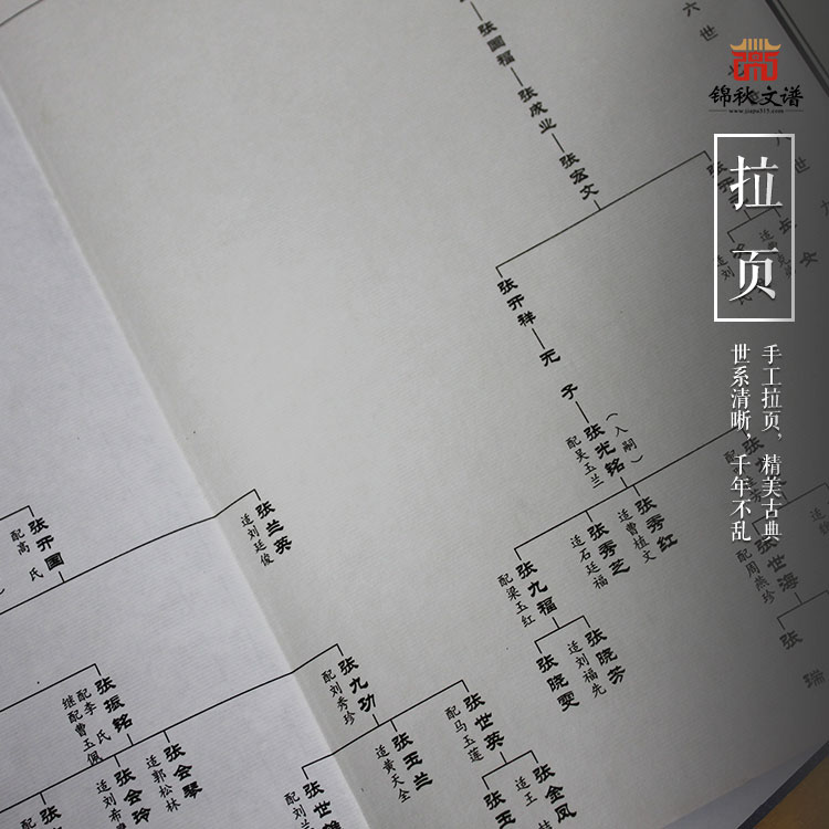 張氏宗譜拉頁(yè)