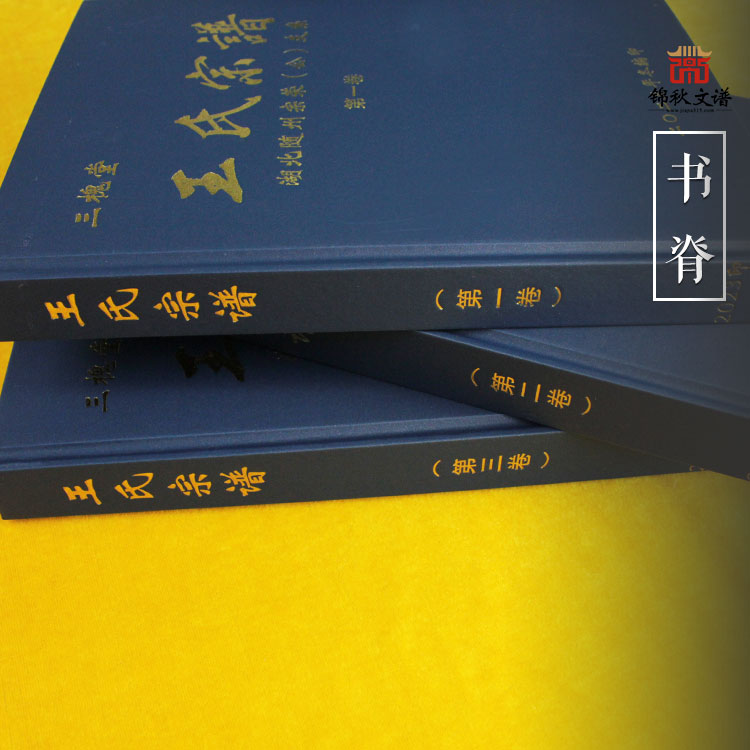 王氏宗譜書(shū)脊