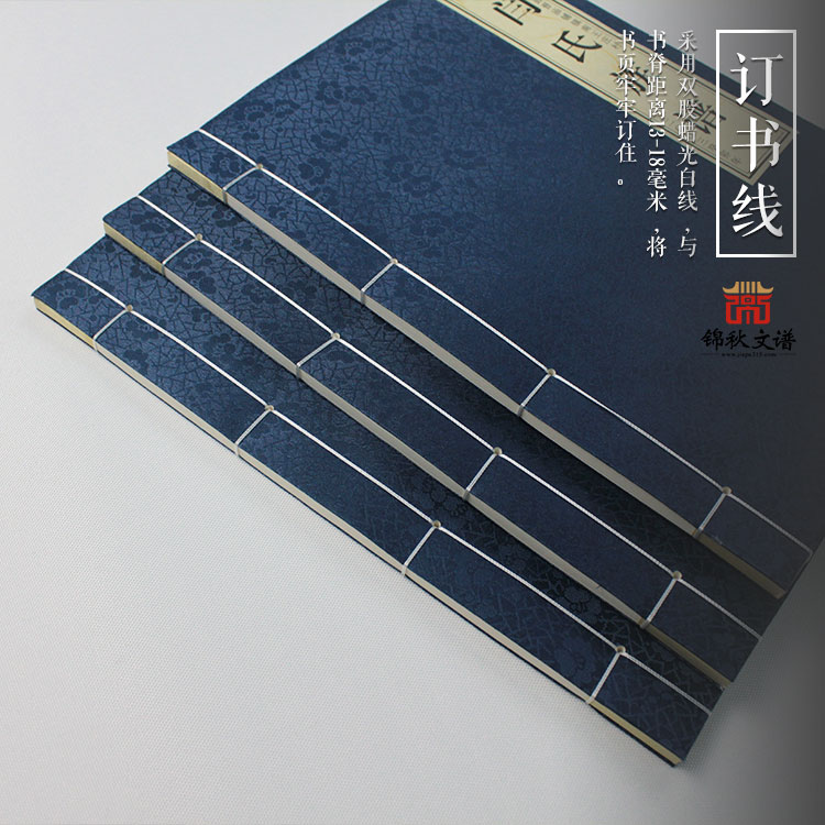 閆氏族譜訂書(shū)線