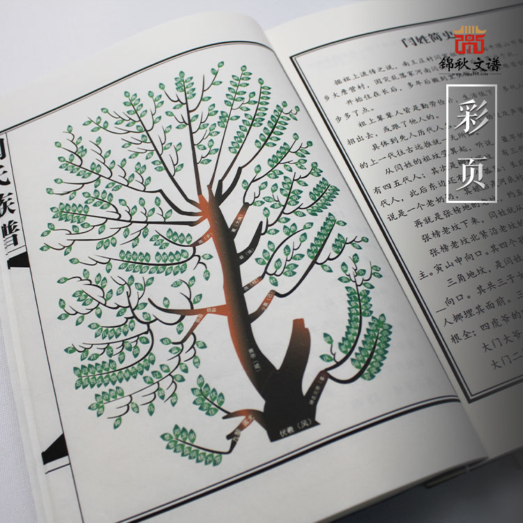 閆氏族譜彩頁(yè)