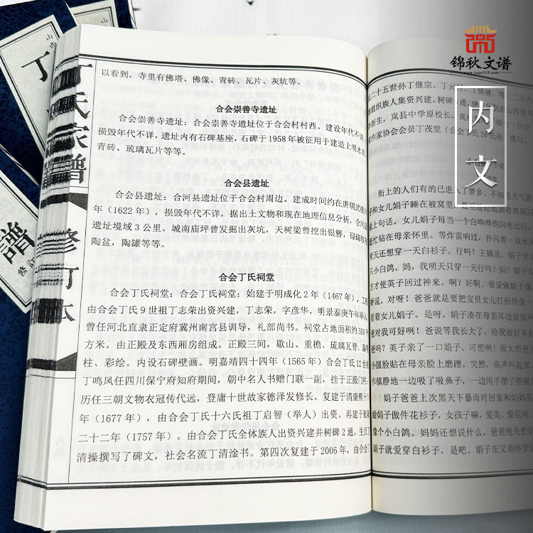 丁氏家譜內(nèi)文1