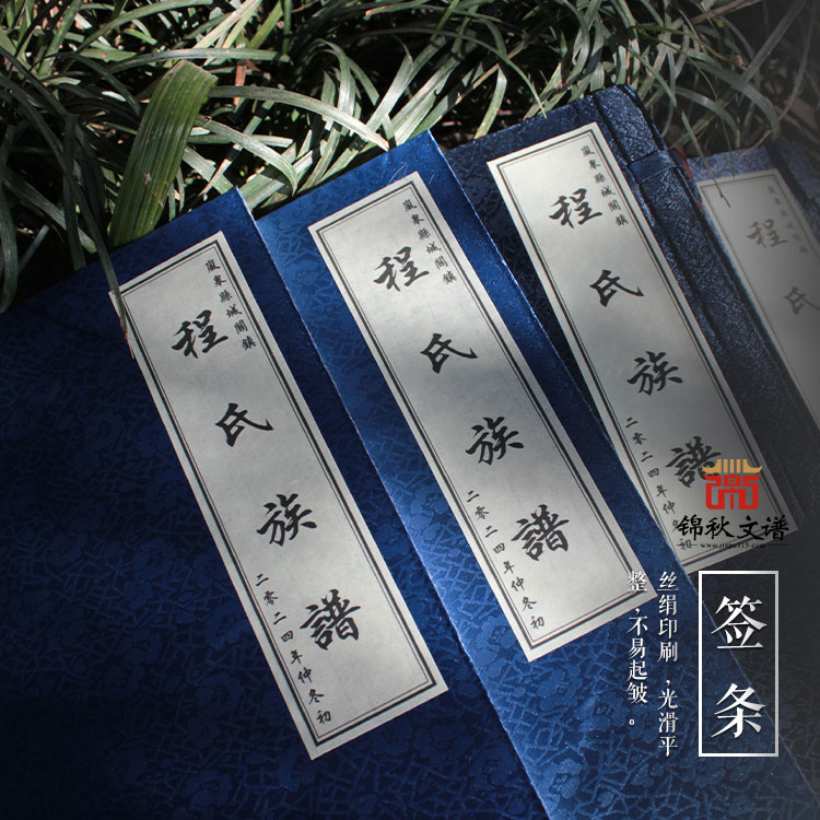 嵐皋縣城關(guān)鎮(zhèn)程氏首次編纂的《程氏族譜》已完成！