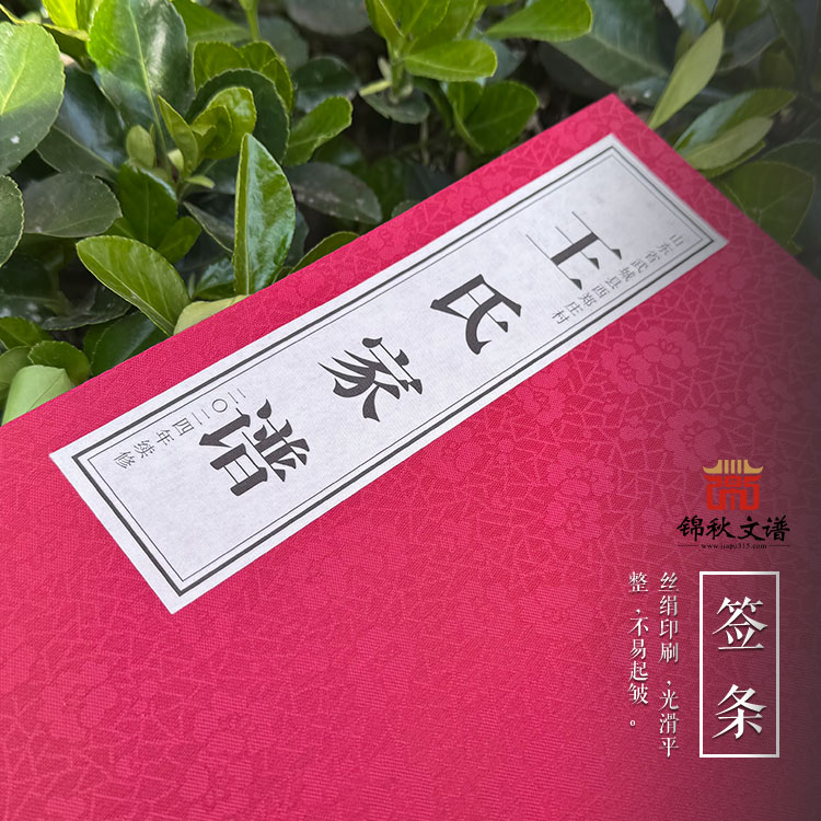 血脈賡續(xù) 文脈永昌——山東武城縣《王氏家譜》正式成書