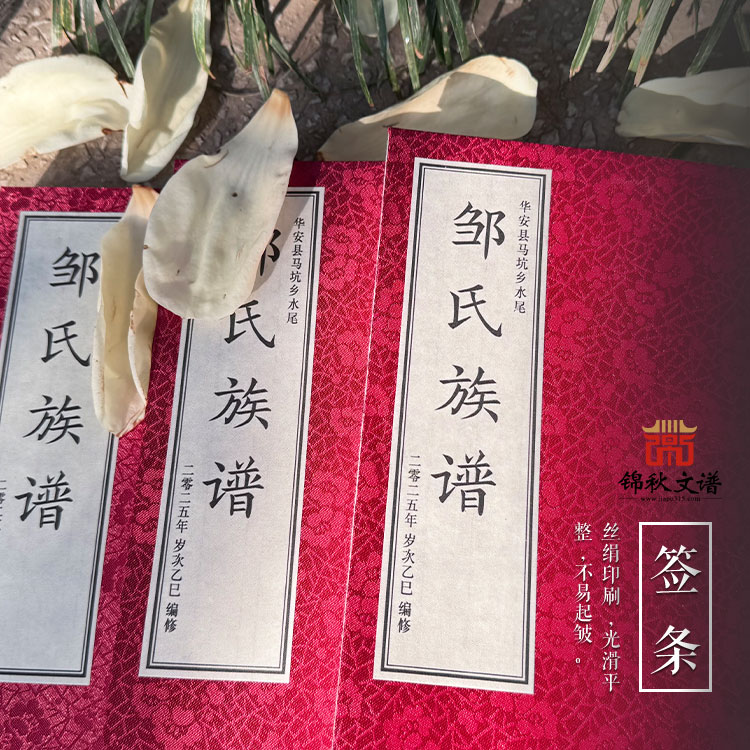 祝賀《馬坑水尾鄒氏族譜》圓滿編撰完成！